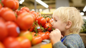 19 предприятиям Азербайджана вернули право ввозить томаты в РФ